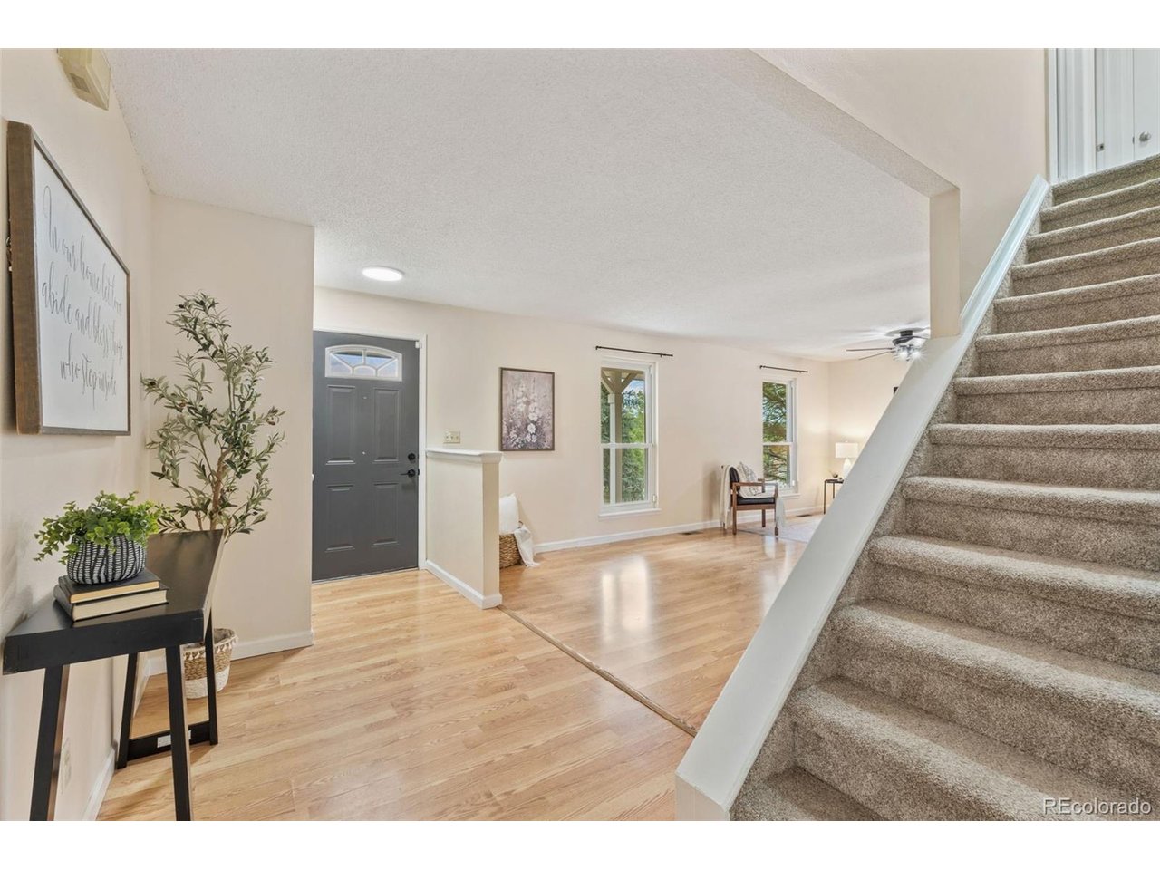 Residential in Colorado Springs 5