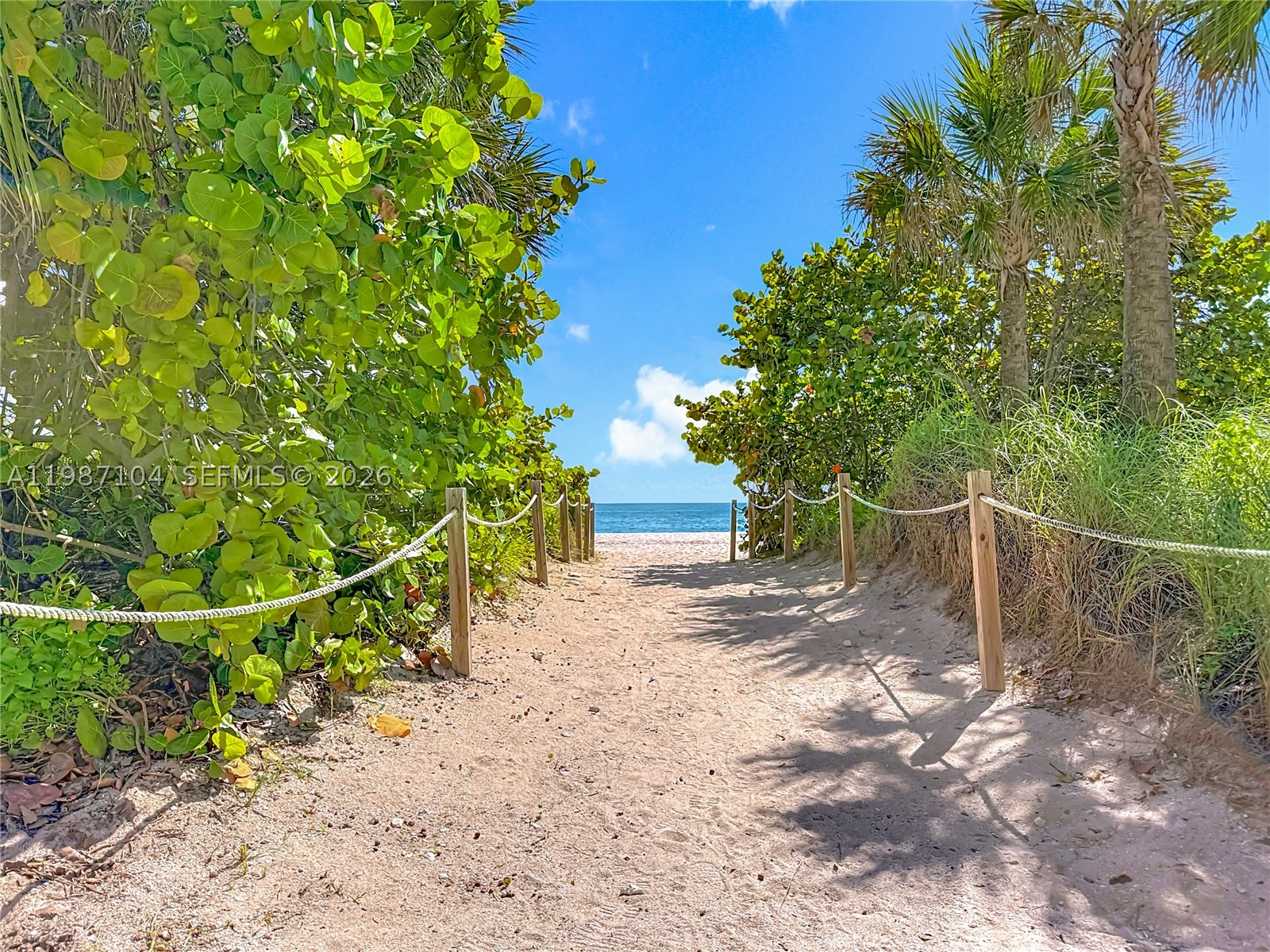 Residential in Miami Beach 5