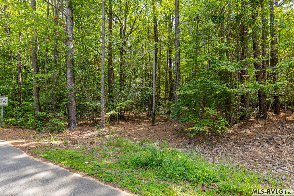 Land in Macon 4