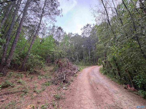 Lot 1 Wilhite Rd, Falkville, AL, 35622-7401 | Card Image