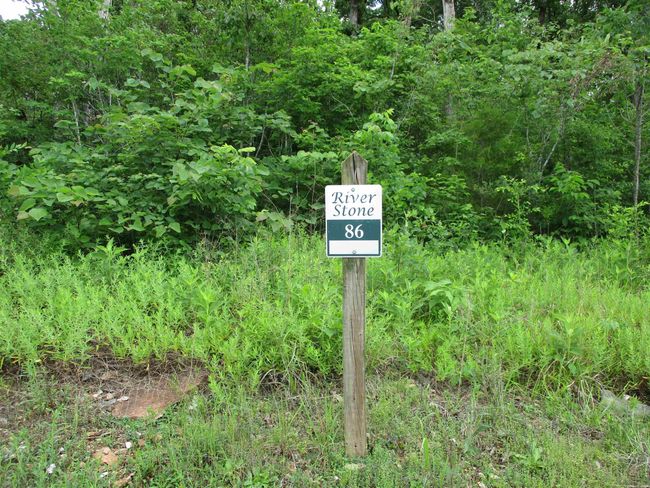 86 Adam Loop, Home with 0 bedrooms, 0 bathrooms and null parking in Bath Springs TN | Image 5
