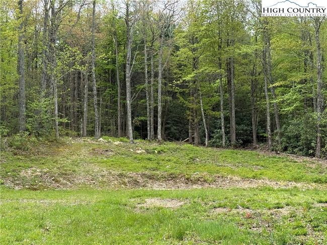 287 Cougar Run, Home with 0 bedrooms, 0 bathrooms and null parking in Linville NC | Image 4