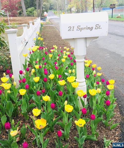 21 Spring St, Chatham, NJ, 07928-1612 | Card Image