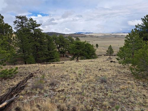783 Remuda Trl, Hartsel, CO, 80449 | Card Image