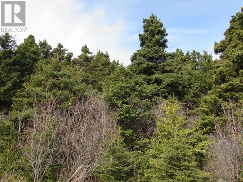 9 Cove Rd, Colliers, NL, A0A1Z0 | Card Image