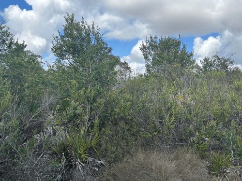 0 County Road 54 E, KATHLEEN, FL, 33849 | Card Image