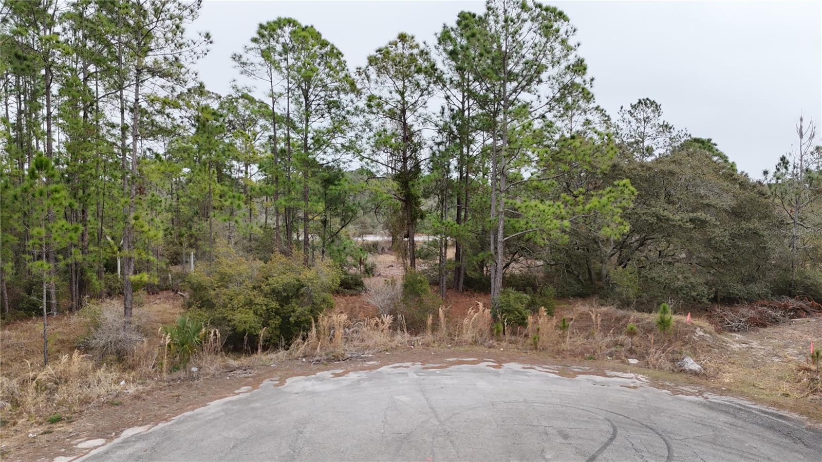 Land in KISSIMMEE 5