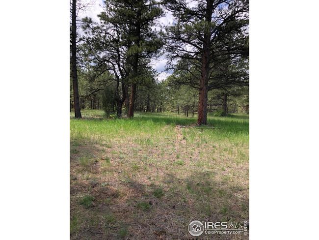 442 Quarter Circle Ln, Home with 0 bedrooms, 0 bathrooms and null parking in Evergreen CO | Image 7
