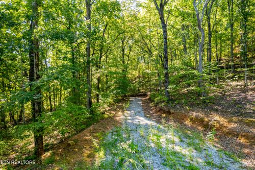 105 Warriors Passage Dr, Tellico Plains, TN, 37385 | Card Image