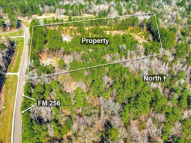 This aerial photo shows the wooded property located next to FM 256. The land is outlined, indicating its boundaries, with dense trees and some cleared areas. The photo is oriented with north at the top. | Image 15