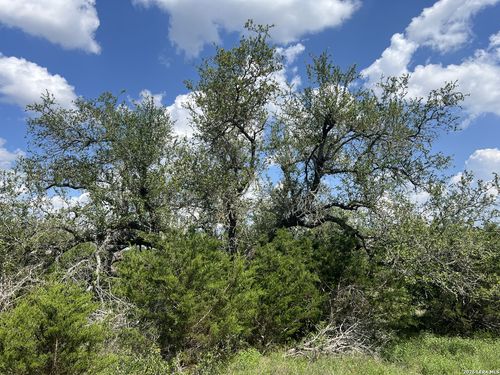 636 Rock Trail Pl, Spring Branch, TX, 78070-4158 | Card Image