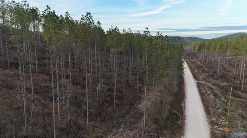 004 County Road 175, Piedmont, AL, 36272 | Card Image