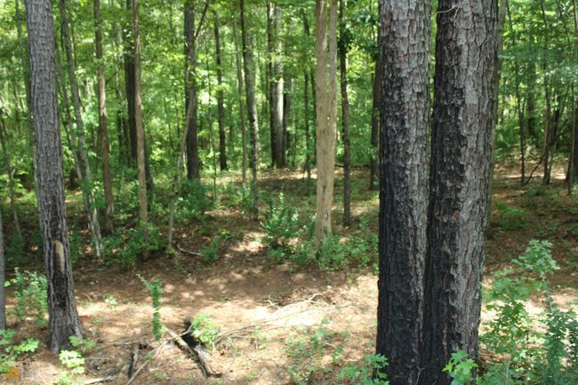 337 Shell Rd, House other with 3 bedrooms, 2 bathrooms and null parking in Palmetto GA | Image 51