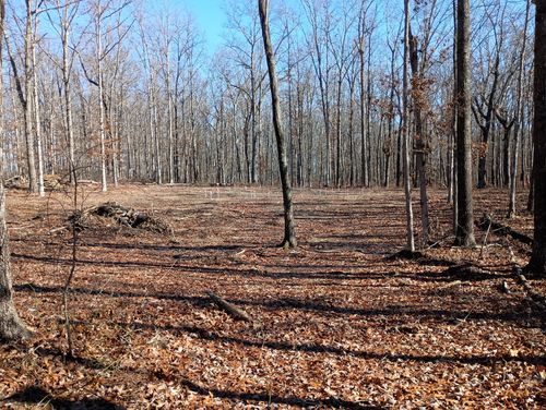 0 Laurel Lake Dr, Monteagle, TN, 37356 | Card Image