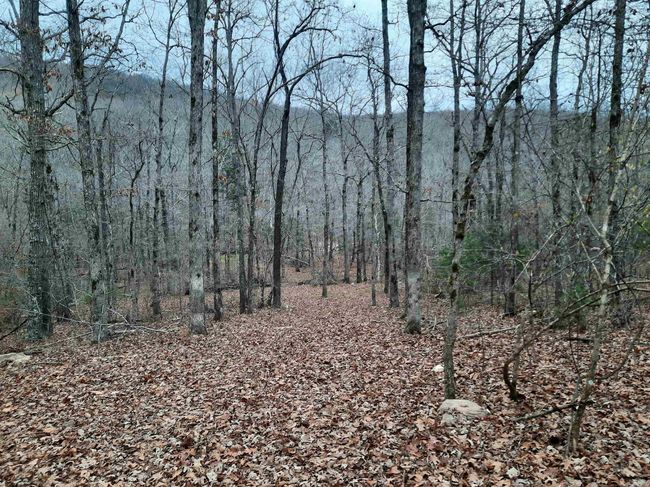 000 S Ar 9 Hwy, Home with 0 bedrooms, 0 bathrooms and null parking in Mountain View AR | Image 11
