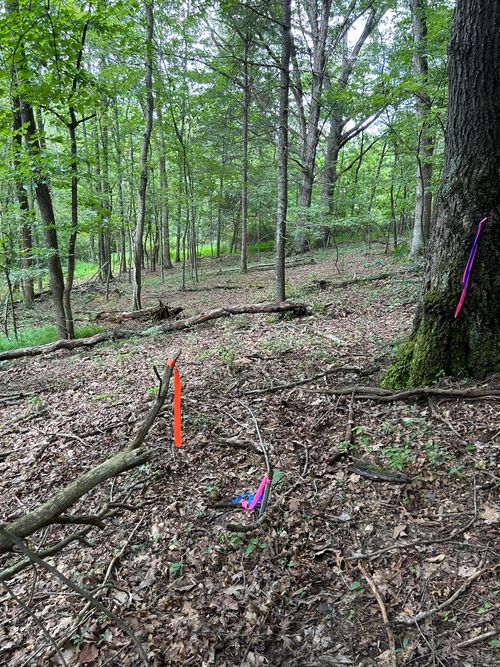 1506 Westwood Dr, Covington, VA, 24426-5513 | Card Image