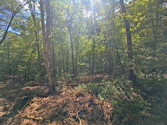 Lot 3 Megan Trace Ln, Home with 0 bedrooms, 0 bathrooms and null parking in Turtletown TN | Image 8