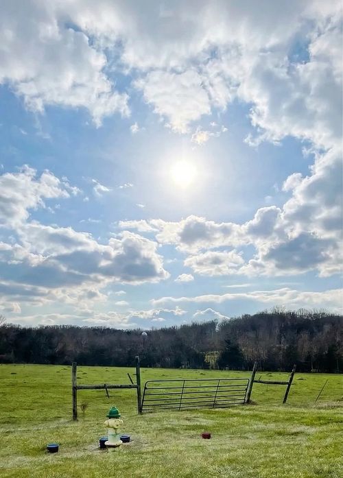 0 Panther Creek Rd, Christiana, TN, 37037 | Card Image