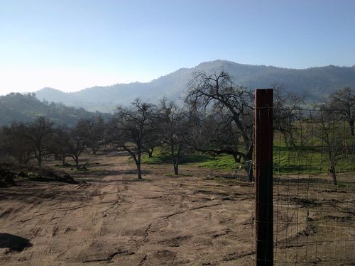 38949 Roundtree Ln, Yokuts Valley, CA, 93675-9668 | Card Image