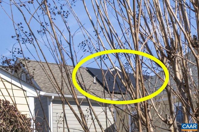 1435 Butler St, House other with 3 bedrooms, 3 bathrooms and null parking in CHARLOTTESVILLE VA | Image 42