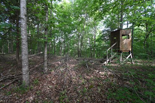0 Lower Crooked Creek Rd, Lobelville, TN, 37097 | Card Image