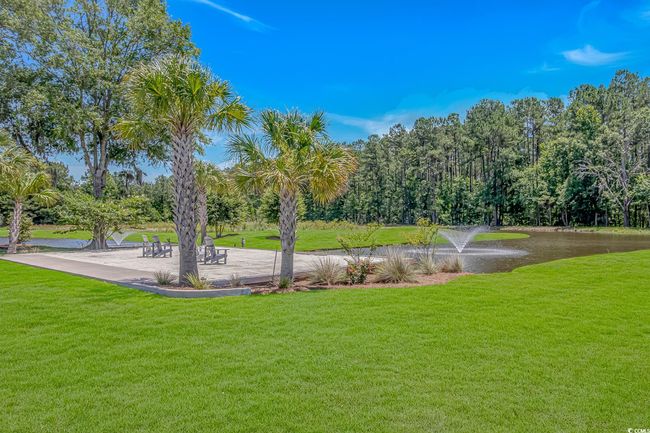 View of grassy yard | Image 28
