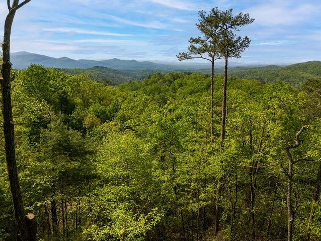 Lot 73 Mountain View Rd, Home with 0 bedrooms, 0 bathrooms and null parking in Ellijay GA | Image 6