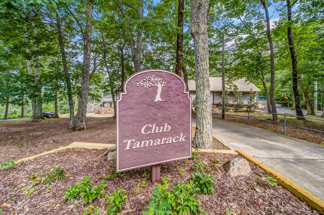 507 Big Stump Mountain Trl, House other with 3 bedrooms, 3 bathrooms and null parking in Jasper GA | Image 51