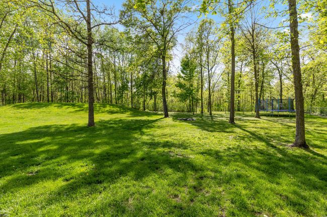 just over 3 acres | Image 21
