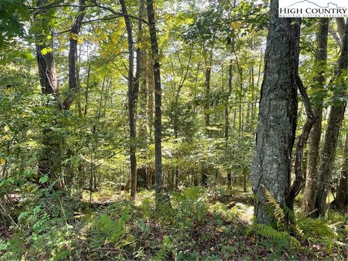 TBD Johnson Hill Dr, Piney Creek, NC, 28663 | Card Image