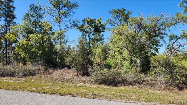 6204 N Hobson Ter, Home with 0 bedrooms, 0 bathrooms and null parking in DUNNELLON FL | Image 4