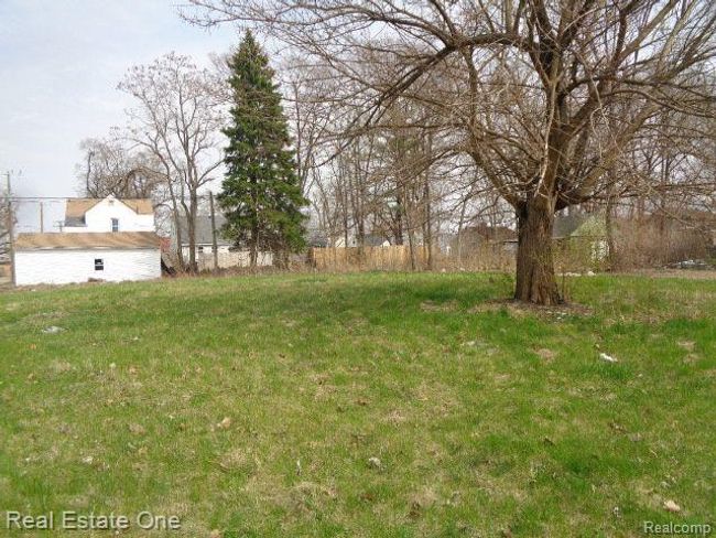 12932 Dwyer St, Home with 0 bedrooms, 1 bathrooms and null parking in Hamtramck MI | Image 4