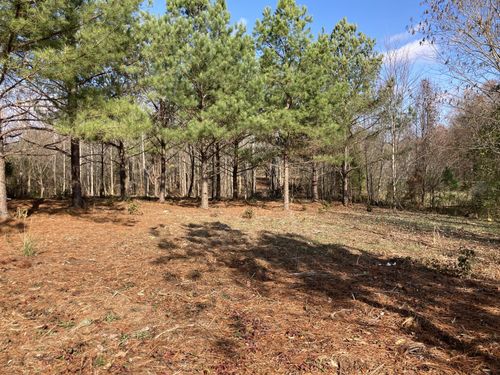 0 Highway 20, Summertown, TN, 38483 | Card Image