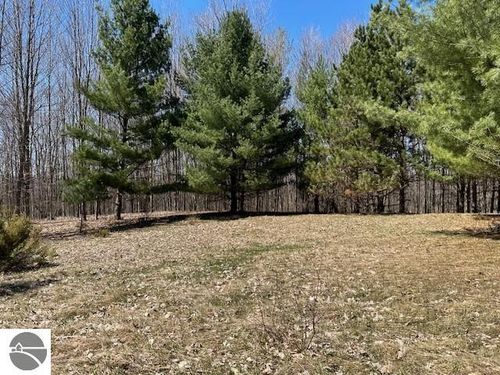 Lots D & E Se Torch Lake Drive, Bellaire, MI, 49615 | Card Image
