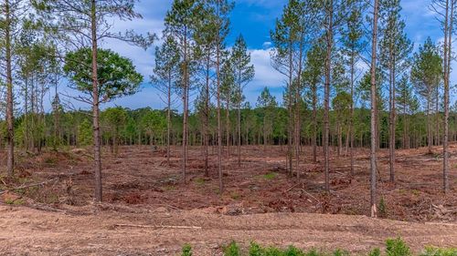 LOT #3 Grant 55, Hensley, AR, 72065-8827 | Card Image
