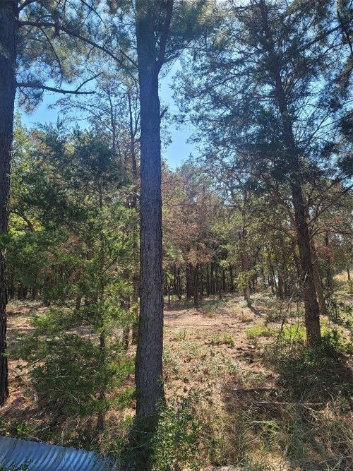 lot 1 Marlin Ln. County Rd 142 Road, McDade, TX, 78650 | Card Image