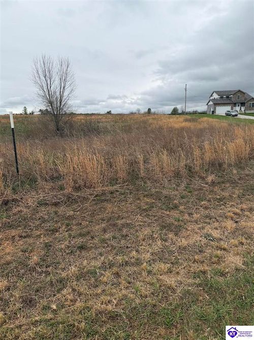 195 Diamond Ct, Vine Grove, KY, 40175-5408 | Card Image