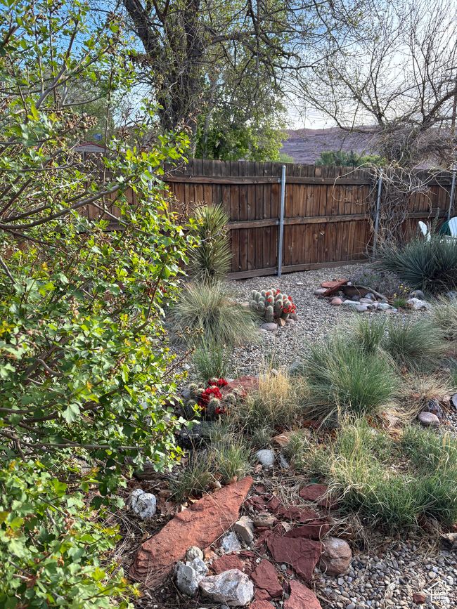View of yard | Image 53