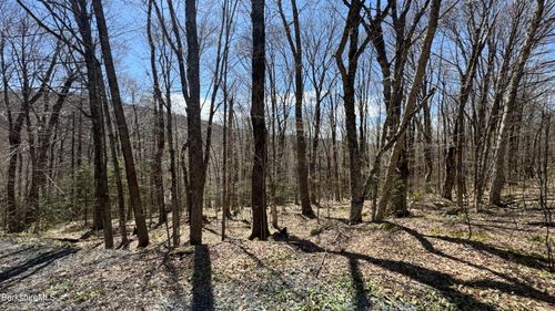 92 Aplendorf, Readsboro, VT, 05350 | Card Image