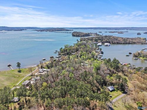 15 Pine Dale Dr, Guntersville, AL, 35976-8410 | Card Image