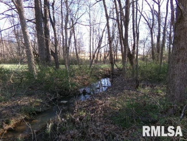 2225 Route 34, House other with 4 bedrooms, 2 bathrooms and null parking in Rosiclare IL | Image 57