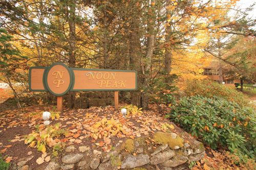 i4-22 Hillside Way, Waterville Valley, NH, 03215 | Card Image