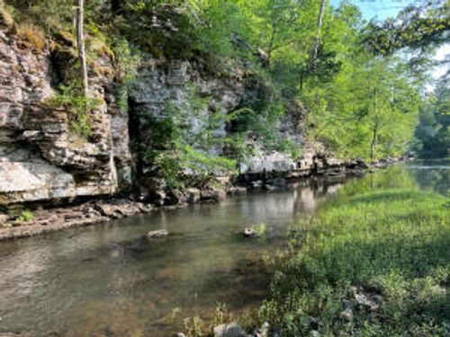 1 Gray Rd, Cleveland, AR, 72030-9534 | Card Image