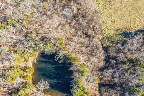 9068 County Road, Green Forest, AR, 72638 | Card Image