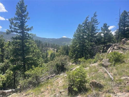 32634 Lodgepole Cir, Evergreen, CO, 80439-6608 | Card Image