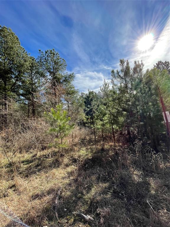 Land in Broken Bow 4