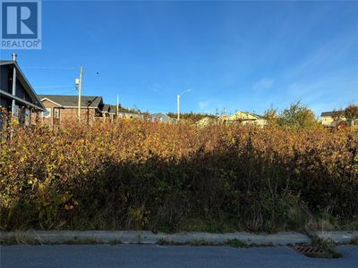 53 Badcock Blvd, Home with 0 bedrooms, 0 bathrooms and null parking in Bay Roberts NL | Image 2