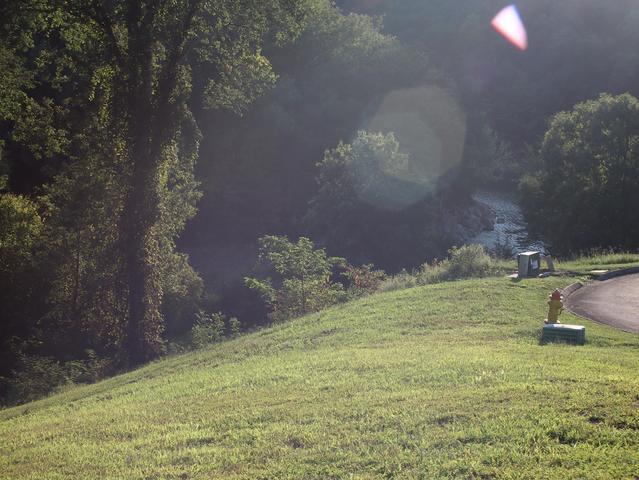 Land in Russellville 4
