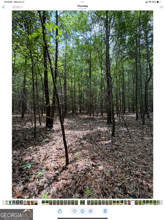 0 Tobias Rd, Home with 0 bedrooms, 0 bathrooms and null parking in Sardis GA | Image 12