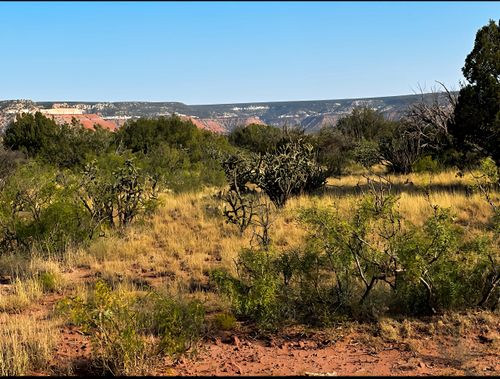 54 Bull Canyon Loop, Newkirk, NM, 88431 | Card Image